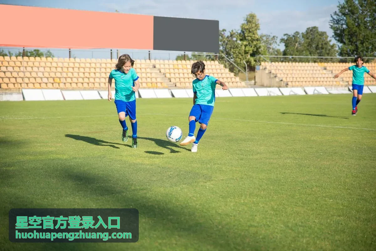 星空官方登录入口账号口令填写提示错误排查示意